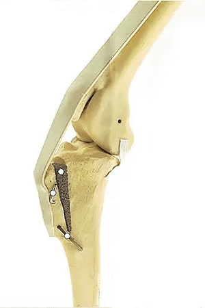 MMP TTA Surgery Offered by Kansas City Veterinarian Dr Joe Rodier