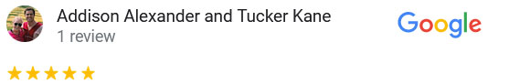 Alexander_Google_Review_TPLO_Surgery_Blue_Springs_Animal_Hospital Alexander_Google_Review_TPLO_Surgery_Blue_Springs_Animal_Hospital
