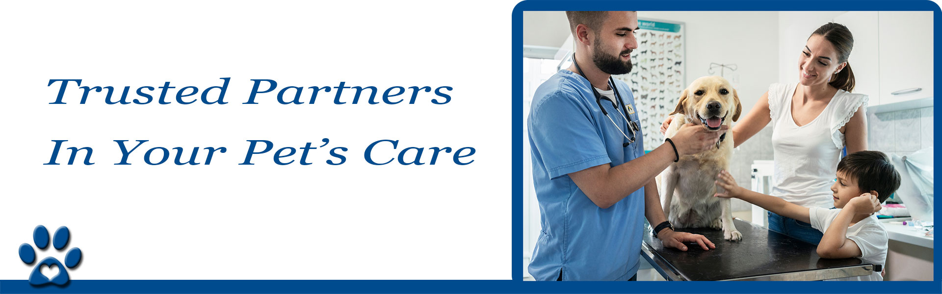 Blue_Springs_Animal_Hospital_Veterinarian_Client_Bill_Of_Rights Image of Blue_Springs_Animal_Hospital_Veterinarian_Client_Bill_Of_Rights