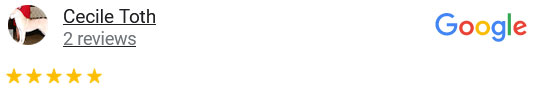 Link to CecileT_Google_Review_Samantha_Nye_Veterinarian_Kansas_City