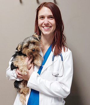 Dr Jamie Gerlach with a dog at Blue Springs Animal Hospital near Kansas City Image of Dr Jamie Gerlach with a dog at Blue Springs Animal Hospital near Kansas City