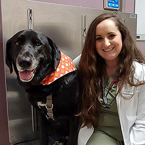Dr. Emily James Veterinarian with a Dog at Blue-Springs-Animal-Hospital in Kansas City Dr. Emily James Veterinarian with a Dog at Blue-Springs-Animal-Hospital in Kansas City