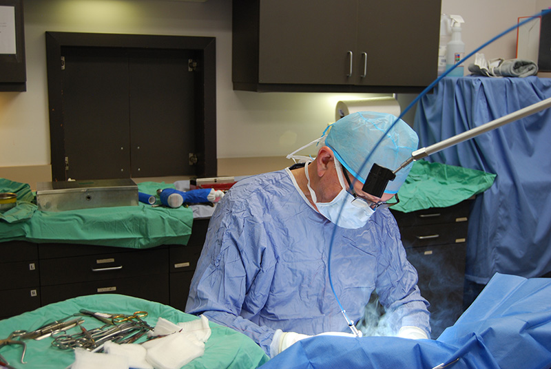 TPLO surgery using laser in dog in Kansas City TPLO surgery using laser in dog in Kansas City