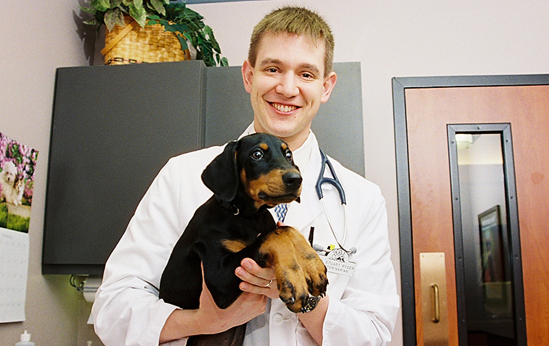 On-Site_Veterinarians-Blue-Springs-Pet-Resort On-Site_Veterinarians-Blue-Springs-Pet-Resort