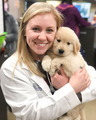 Veterinarian Provides Puppy Vaccines in Kansas City at Blue Springs Animal Hospital Image of Veterinarian Doing Puppy_Vaccines_Kansas_City_Blue_Springs_Animal_Hospital