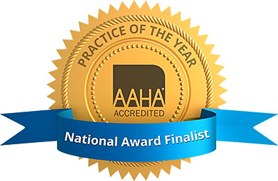 Badge for American Animal Hospital Associations Practice of the Year Award Finalist Badge for American Animal Hospital Associations Practice of the Year Award Finalist
